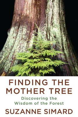 Finding the Mother Tree cover