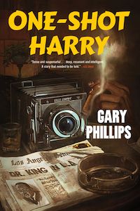 Book cover for One-Shot Harry