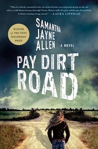 book cover for Pay Dirt Road