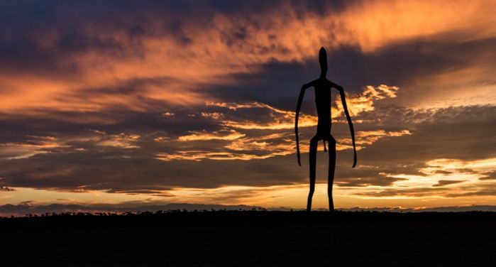 silhouette of a long, thin creature at golden hour