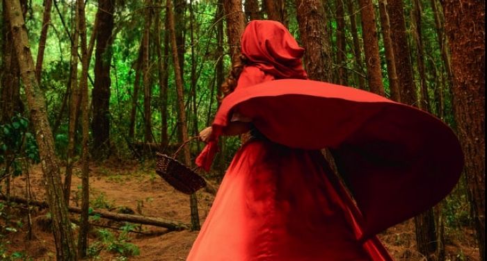person with fabulous red hood like little red riding hood who is walking through the woods