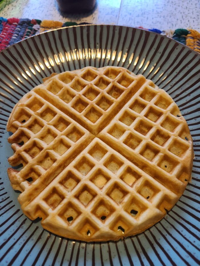 Waffle on blue plate