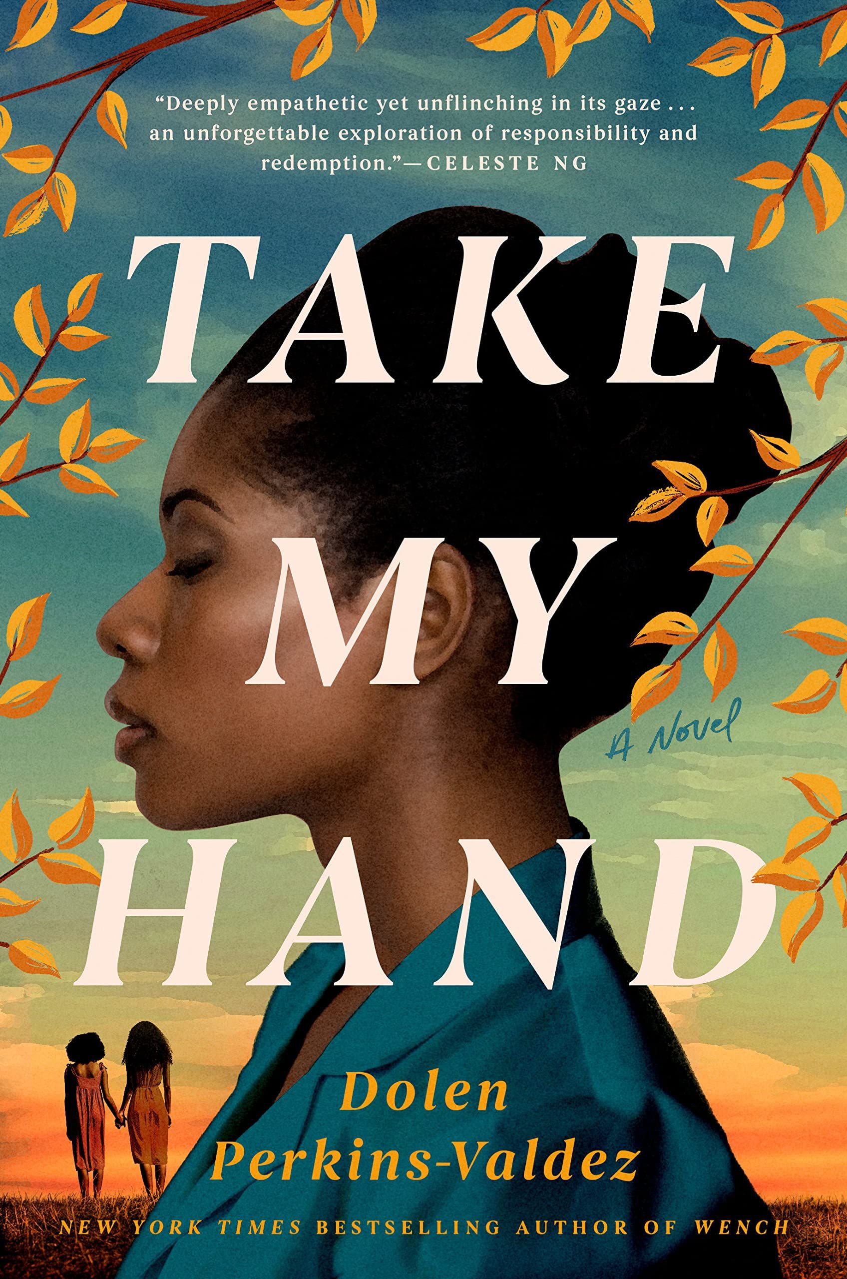 cover of  Take My Hand by  Dolen Perkins-Valdez