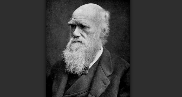 a portrait of Charles Darwin