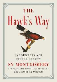 Hawk's Way cover