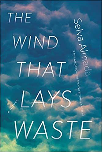 The Wind That Lays Waste by Selva Almada cover