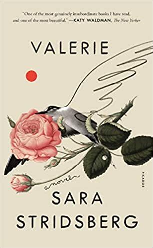 the cover of Valerie: or, The Faculty of Dreams
