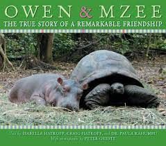 Owen and Mzee cover