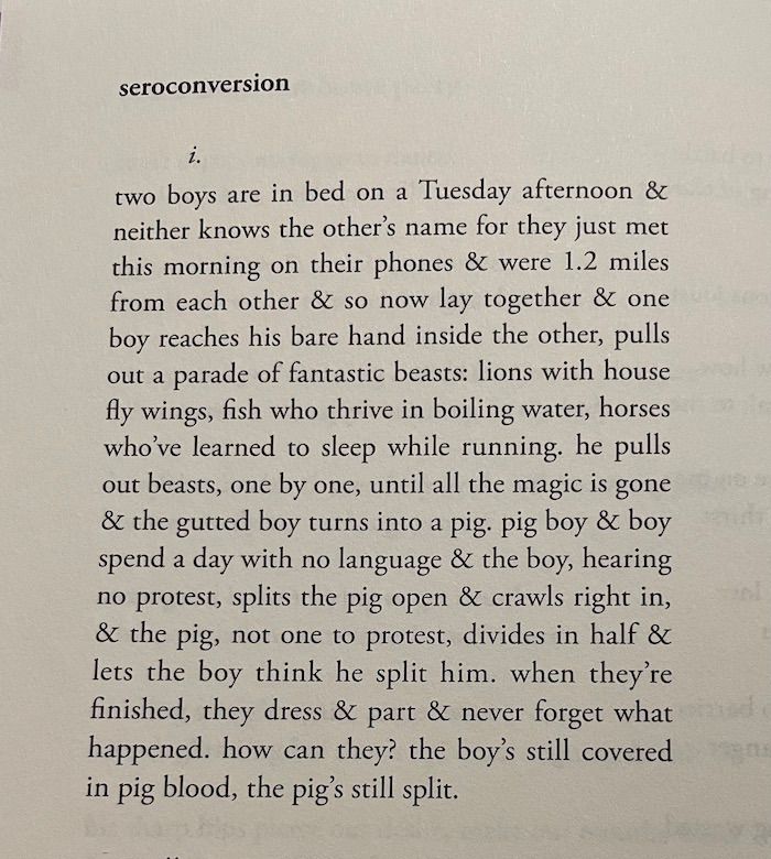 image of seroconversion, stanza 1, by Danez Smith, beginning: "two boys are in bed on a Tuesday afternoon & neither knows the other's names for they just met this morning on their phones &..."