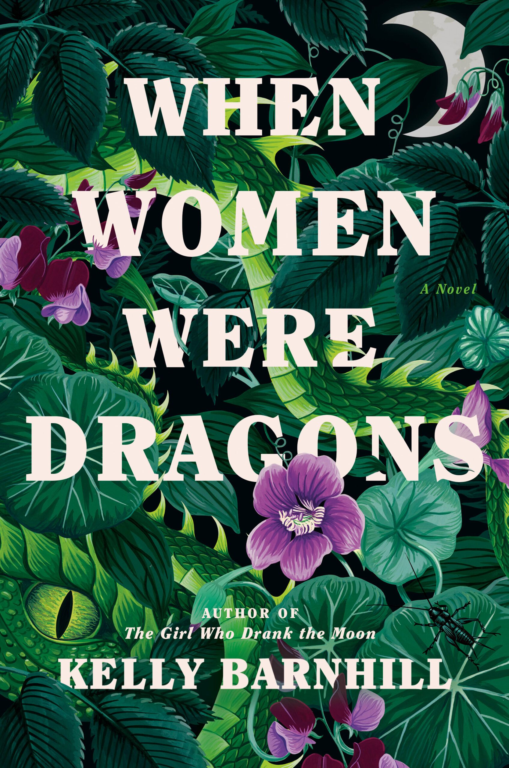 the cover When Women Were Dragons