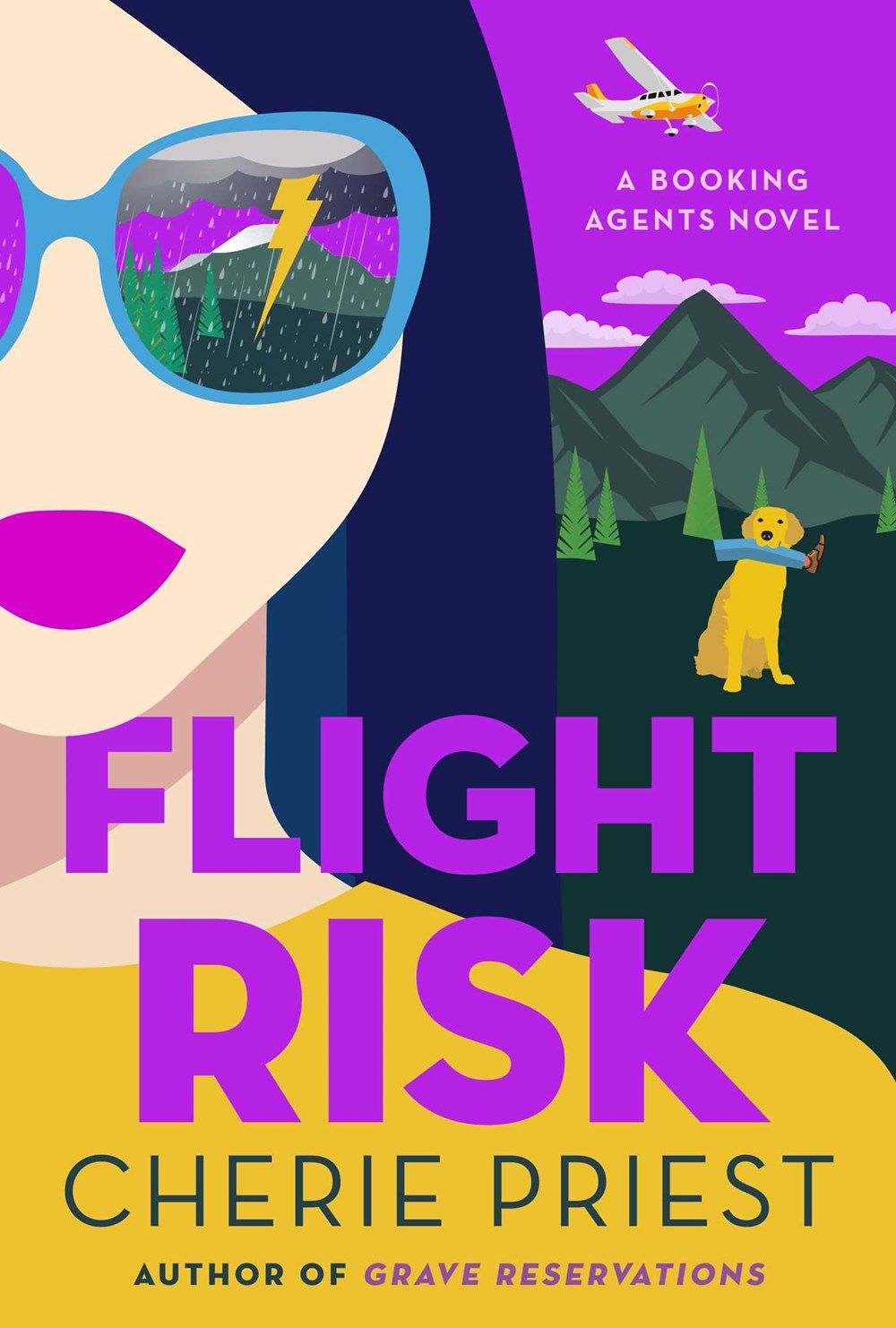 Flight Risk book cover