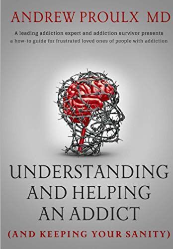 Understanding and Helping an Addict Book Cover