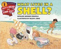 cover of What Lives in a Shell 