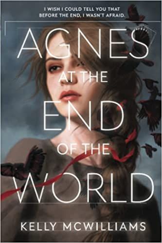 cover of agnes at the end of the world