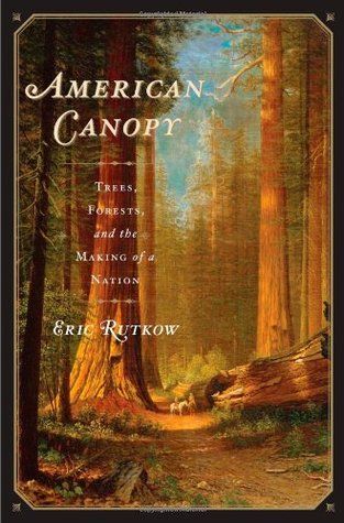 American Canopy by Rutgow cover