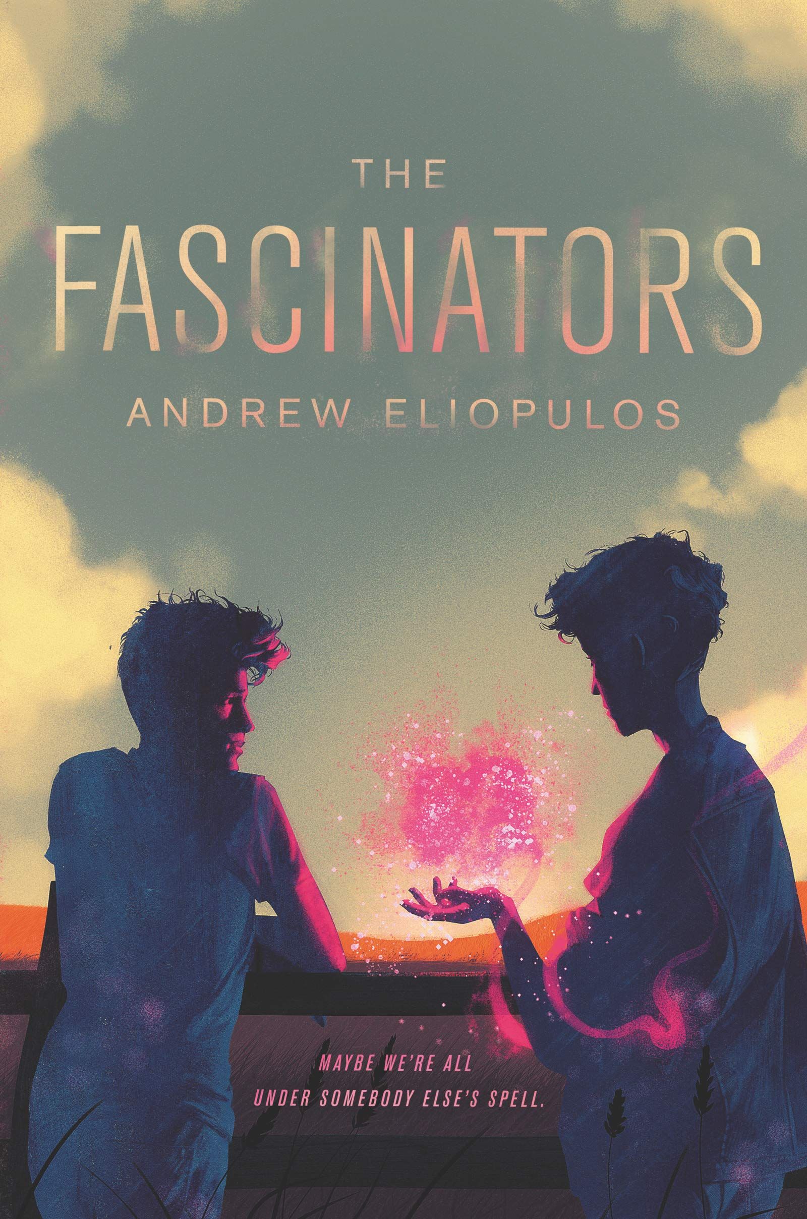 Book cover of The Fascinators
