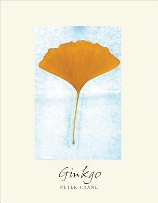 Gingko by Peter Crane cover