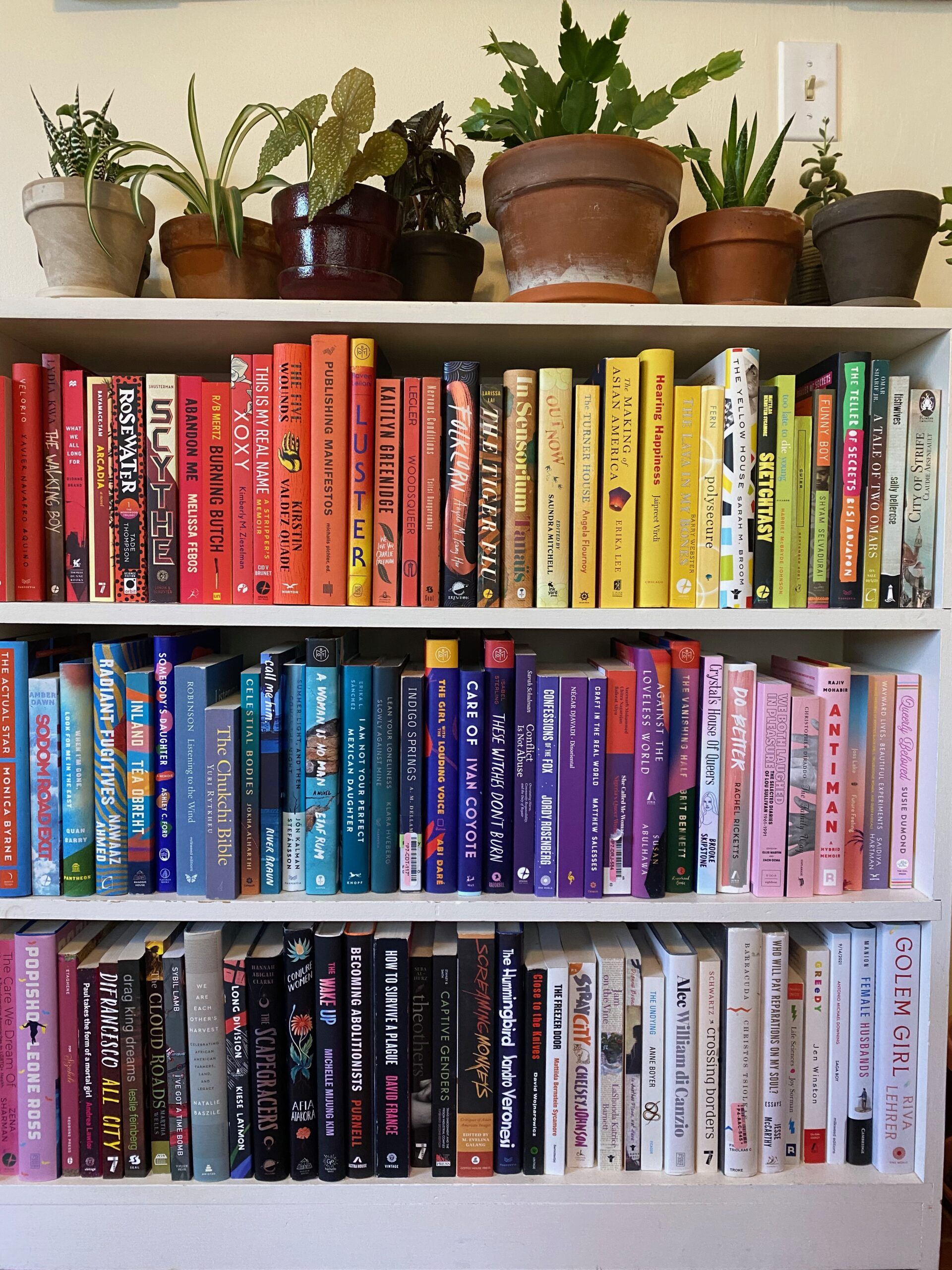 A white bookcase with three shelves of books arranged by colors of the rainbows. The top of the shelf is full of plants. Photo by the author.