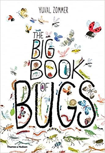 Big Book of Bugs book cover