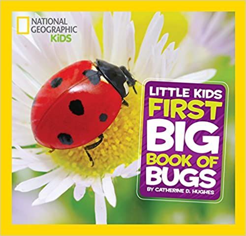 National Geographic Little Kids First Big Book of Bugs book cover