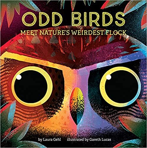 Cover of Odd Birds