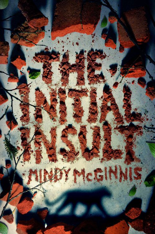 Cover of The Initial Insult by Mindy McGinnis