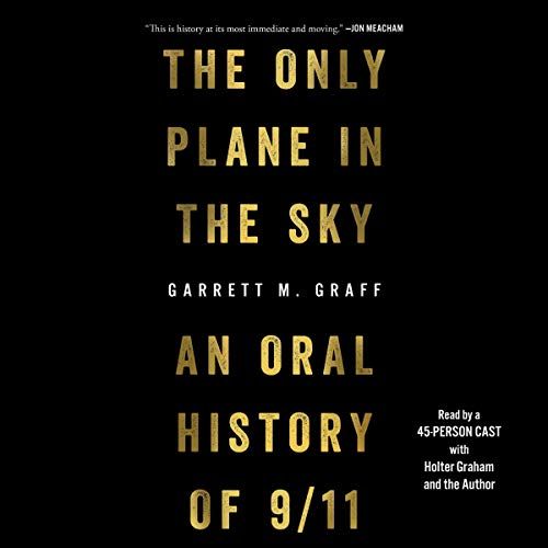 audiobook cover of the only plane in the sky