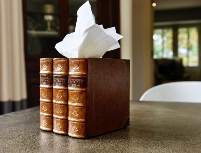 Tissue box holder made to look like antique books