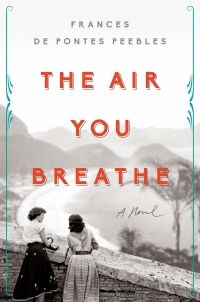 Cover image of The Air You Breathe by Frances de Pontes Peebles