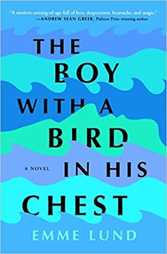 cover of The Boy with a Bird in His Chest by Emme Lund