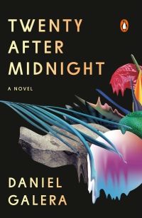 Cover image of Twenty After Midnight by Daniel Galera