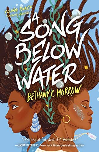 Book cover of A Song Below Water