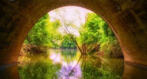 image of a tunnel with nature outside