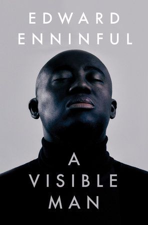 Book cover for A Visible Man