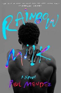 Book cover of Rainbow Milk by Paul Mendez