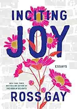 Inciting Joy cover