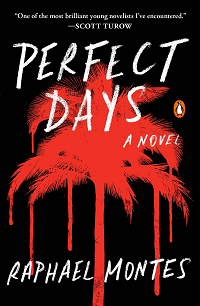 Perfect Days by Raphael Montes book cover