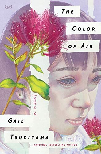 The Color of Air by Gail Tsukiyama cover