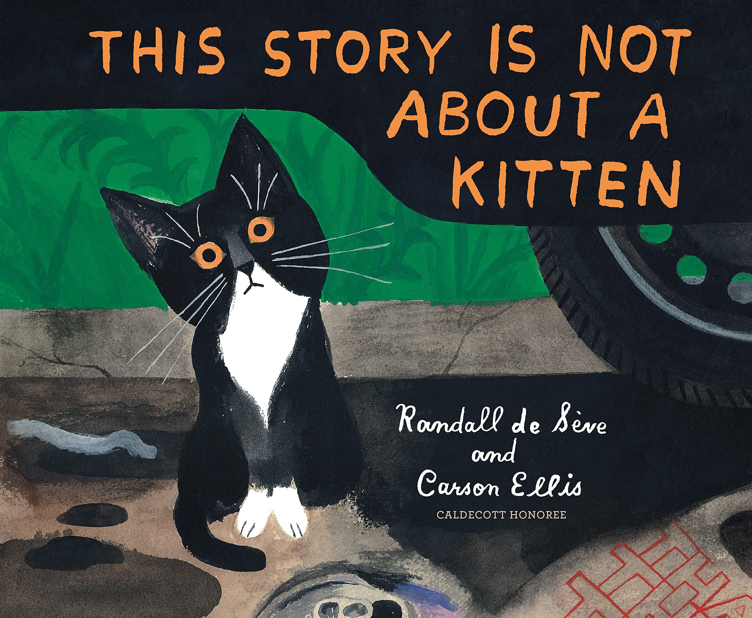 Cover of This Story is Not about a Kitten by de Seve
