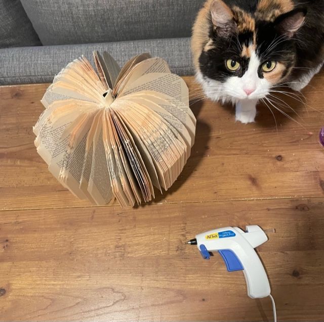 Covers of the book have been hot glued together to create a fanned out 3D pumpkin. The hot glue gun is next to the book, as is the longhaired cat, looking at the camera.