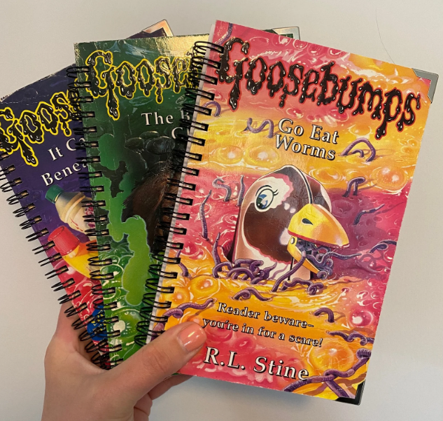 Notebooks with Goosebumps covers