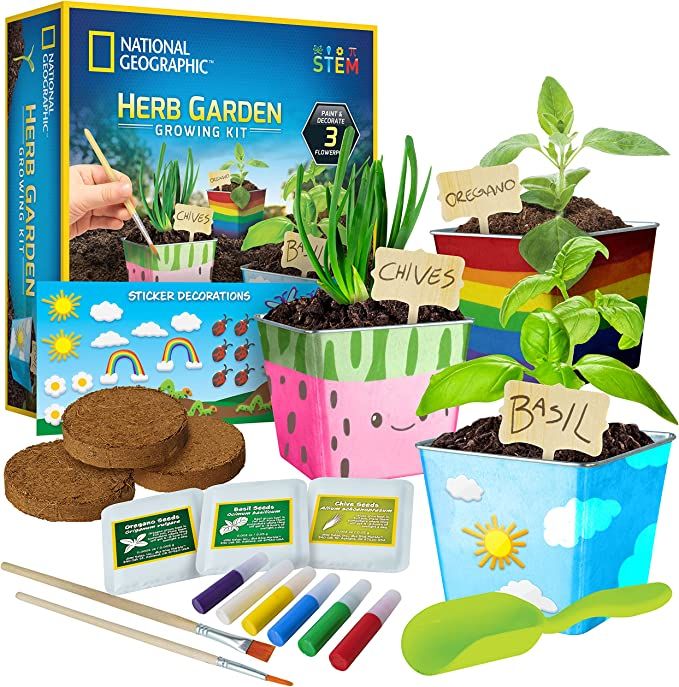 An image of the National Geographic Garden Kit contents, including 3 pots, paint markers, plants, and dirt pods. 
