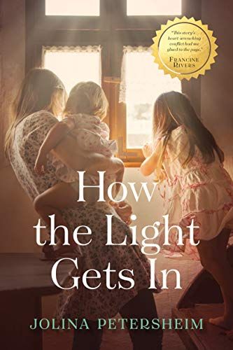 cover of How the Light Gets In by Jolina Petersheim
