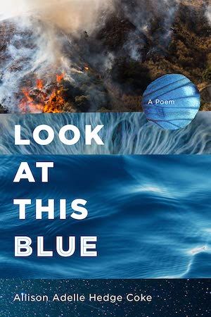 Look at This Blue by Allison Adelle Hedge Coke book cover