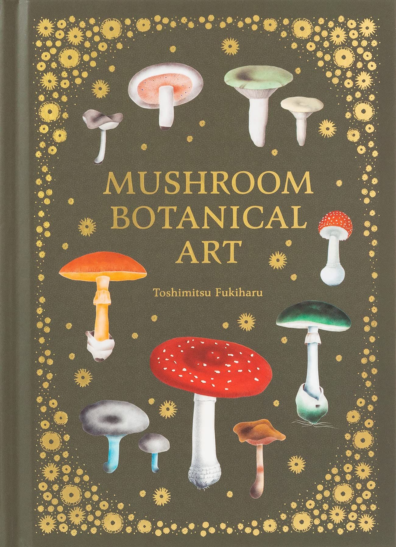 Mushroom Botanical Art book cover