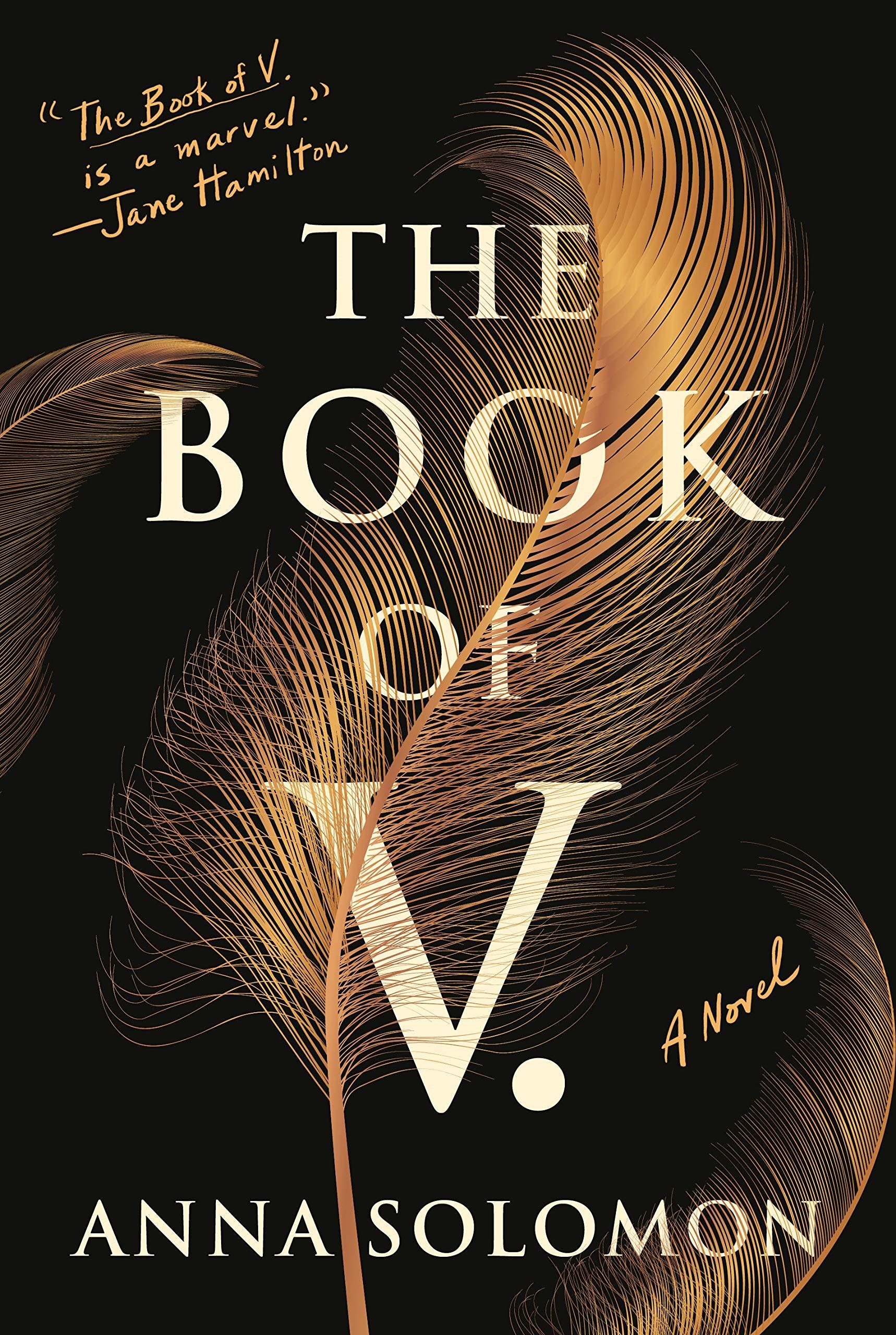cover of The Book of V
