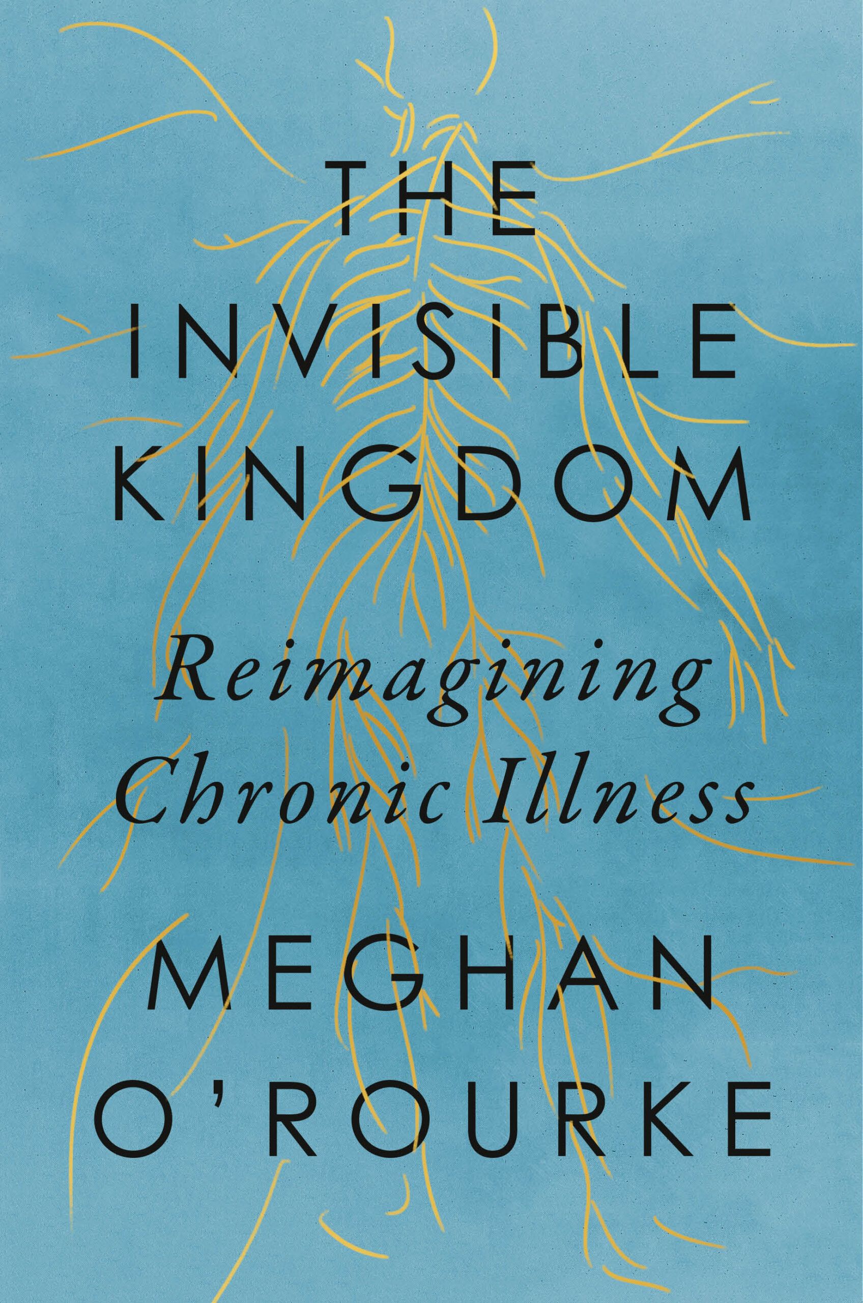 The Invisible Kingdom by Meghan O'Rourke book cover