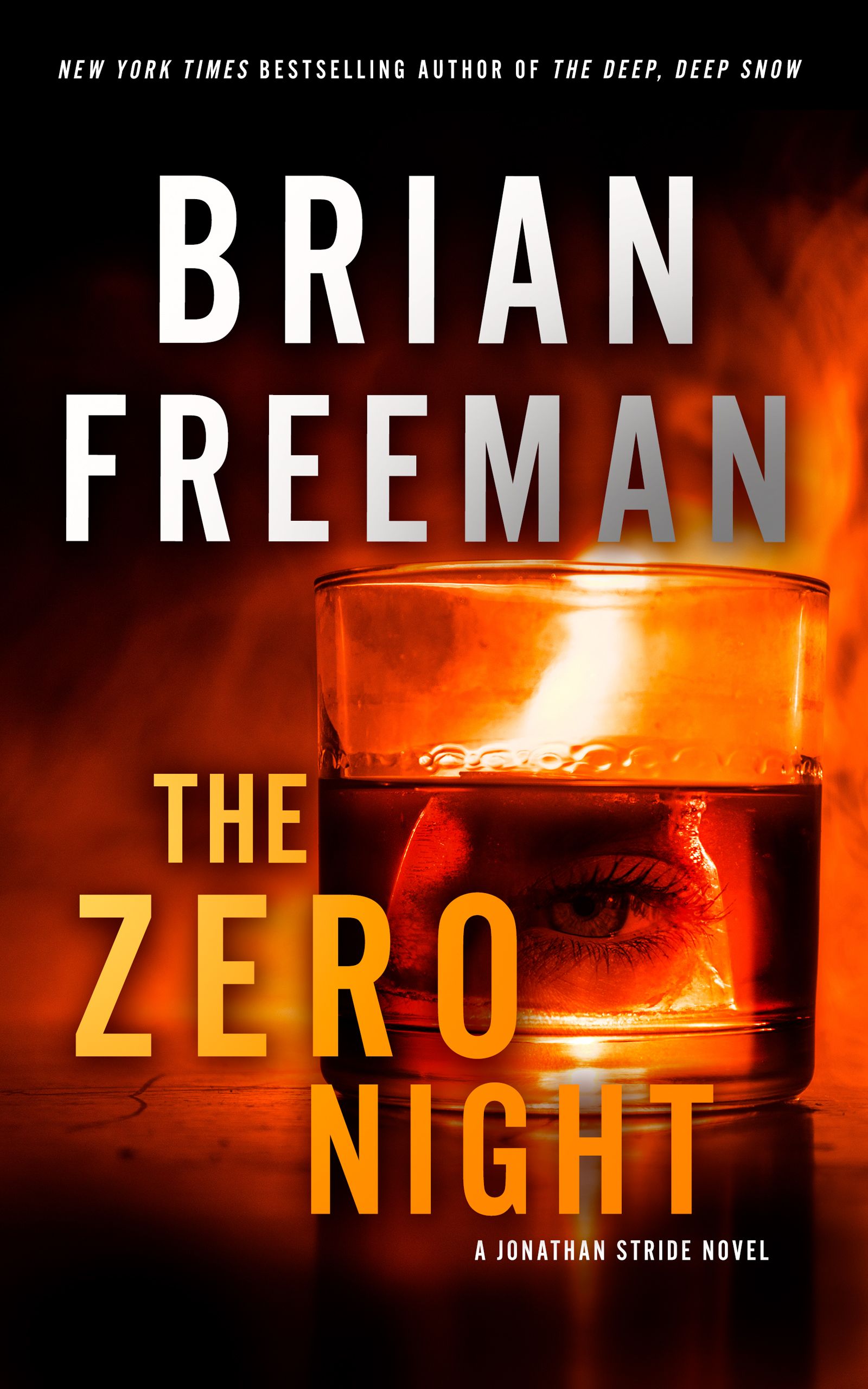 Book cover of The Zero Night by Brian Freeman