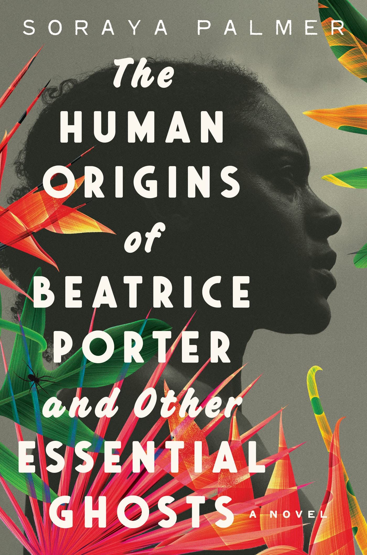 Cover of The Human Origins of Beatrice Porter and Other Essential Ghosts