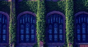 Image of moody academic building covered in ivy